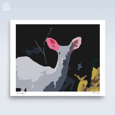 Serenity print