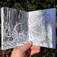 Excursions - Thumbnail 4