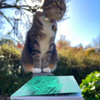 Excursions - Thumbnail 5