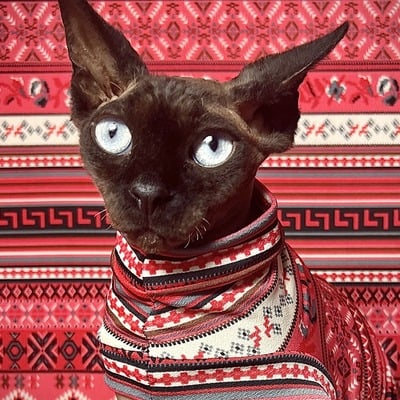 Southwest xmas fair isle - sleepwear