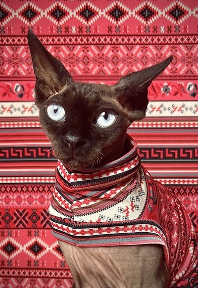 Southwest Xmas Fair Isle - Sleepwear