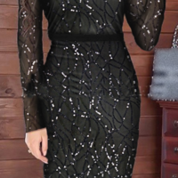 Fashion Temperament Pearl Mesh Long Sleeve Dress - Thumbnail 1