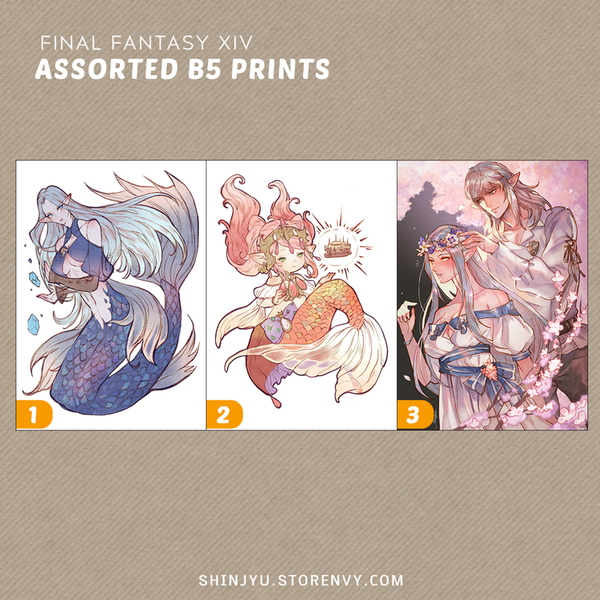 Assorted B5 Prints