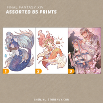 Assorted B5 Prints