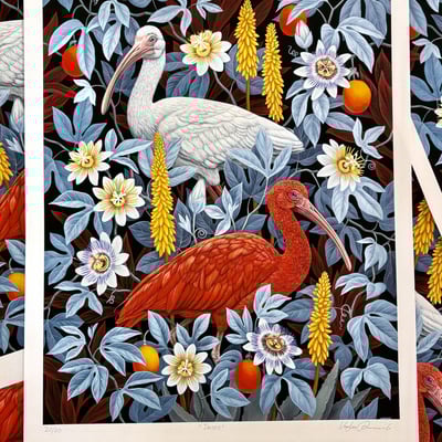 "ibises" by vasilisa romanenko, limited edition archival pigment print - Thumbnail 1
