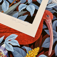 "Ibises" by Vasilisa Romanenko, Limited Edition Archival Pigment Print - Thumbnail 2