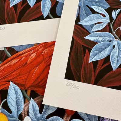 "ibises" by vasilisa romanenko, limited edition archival pigment print