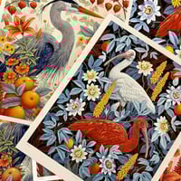 "Ibises" by Vasilisa Romanenko, Limited Edition Archival Pigment Print - Thumbnail 4