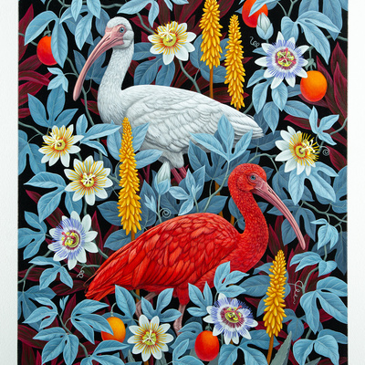 "ibises" by vasilisa romanenko, limited edition archival pigment print