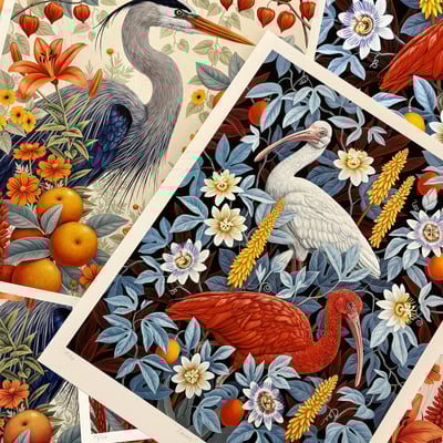 "great blue heron" by vasilisa romanenko, limited edition archival pigment print