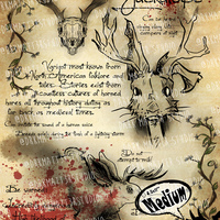 Cryptid Studies: Jackalope | Original Art Prints - Thumbnail 1