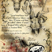 Cryptid Studies: Jackalope | Original Art Prints - Thumbnail 2