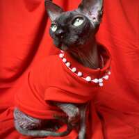 Pearl Necklace Yeezus - Thumbnail 1