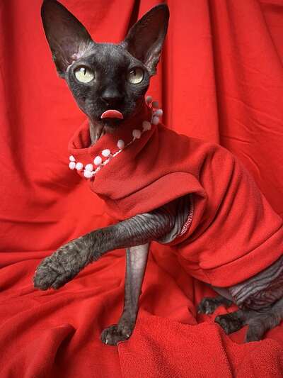 Pearl Necklace Yeezus