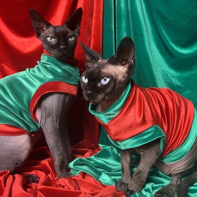 Modern jolly elves - velvet