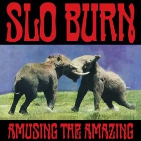 [RSD] Slo Burn - Amusing the Amazing (Etching Side B)