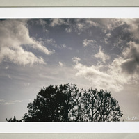 Signed Album + Print Pairing: NIN "Ghosts I-IV" Deluxe Edition Set with Two Prints - Thumbnail 3