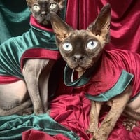 Olde Timey Jolly Elves - Velvet - Thumbnail 1