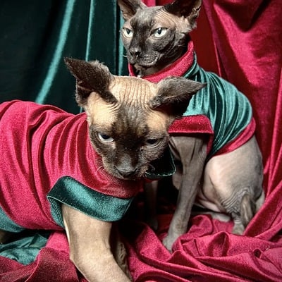 Olde timey jolly elves - velvet