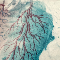 heart (light) - FRAMED giclée print - 12" x 12" album edition - Thumbnail 2