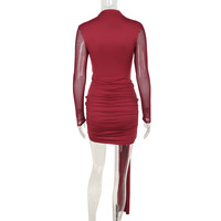 Sexy form-fitting dress with mesh paneling and a bodycon silhouette - Thumbnail 5