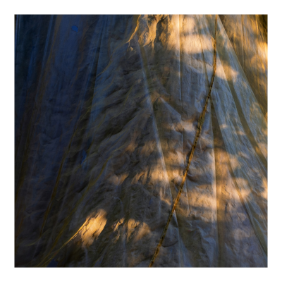 Juneau - scraps of the final lights cd