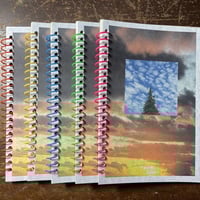 the beauty of noticing - Thumbnail 1