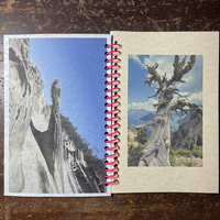 the beauty of noticing - Thumbnail 6