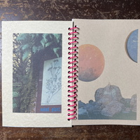 the beauty of noticing - Thumbnail 3