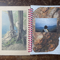 the beauty of noticing - Thumbnail 4