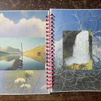 the beauty of noticing - Thumbnail 2