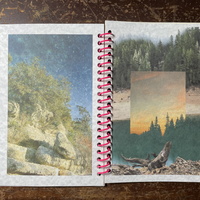 the beauty of noticing - Thumbnail 5