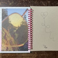 the beauty of noticing - Thumbnail 7