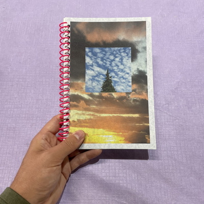 The beauty of noticing