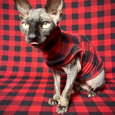 Red buffalo plaid - sleepwear