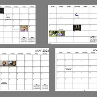 2026 Fara Phoenix: WALL Calendar - Thumbnail 9