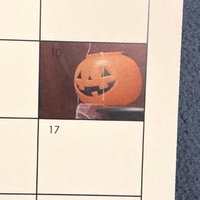 2026 Fara Phoenix: WALL Calendar - Thumbnail 8