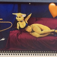 2026 Fara Phoenix: WALL Calendar - Thumbnail 4