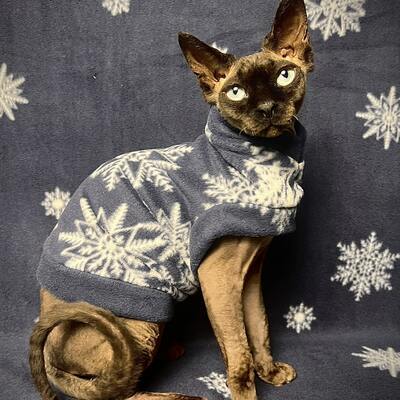 My first snow - luxe fleece