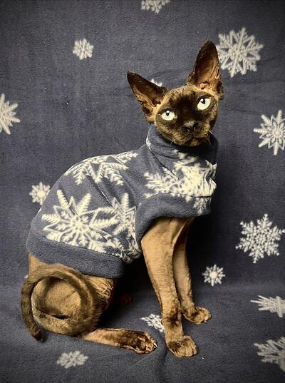 My First Snow - Luxe Fleece