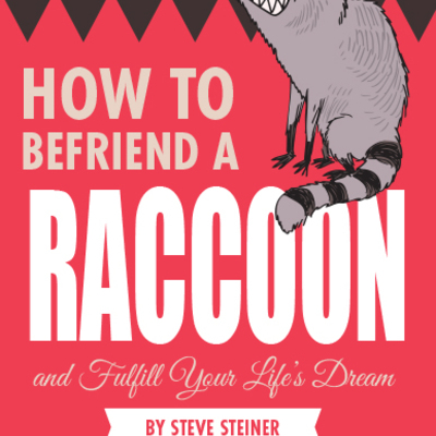 How to befriend a raccoon