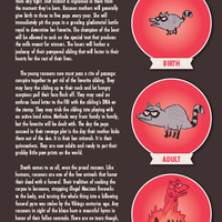 How to Befriend a Raccoon - Thumbnail 2