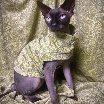 Elf on the shelf - corduroy velvet