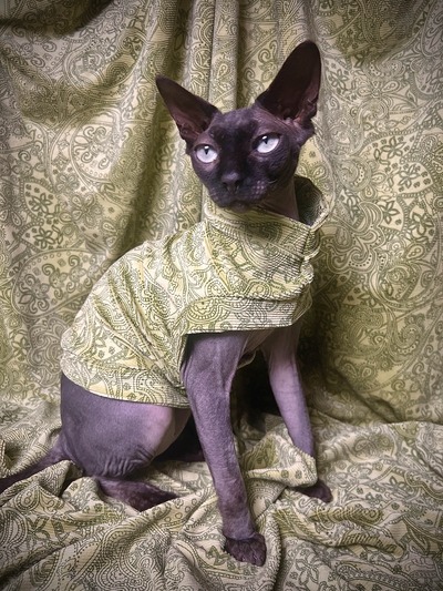 Elf On The Shelf - Corduroy Velvet