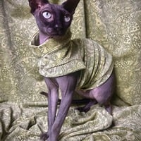 Elf On The Shelf - Corduroy Velvet - Thumbnail 1