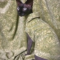 Elf On The Shelf - Corduroy Velvet - Thumbnail 2