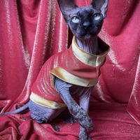 Gold Shimmer - Velvet - Thumbnail 2