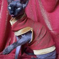 Gold Shimmer - Velvet - Thumbnail 1