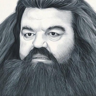 Hagrid print