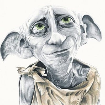 Dobby print